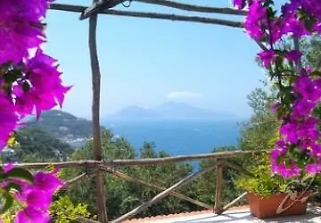 ホテル La Maison Conca Azzurra ソレント